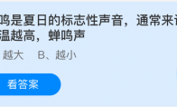 蝉鸣是夏日的标志性声音，通常来说气温越高蝉鸣声