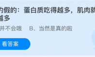真的假的：蛋白质吃得越多肌肉就长得越多
