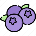 蓝莓音乐 最新版