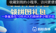 一条鲨鱼在10年内大约换掉多少颗牙齿
