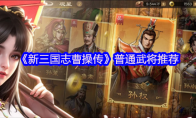 《新三国志曹操传》普通武将推荐