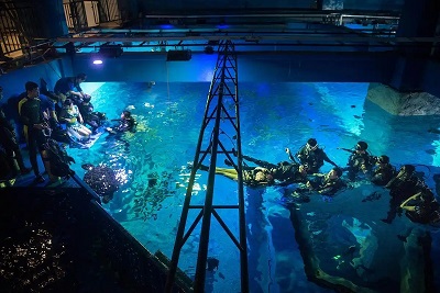 深海迷航 手机版正版(图2)