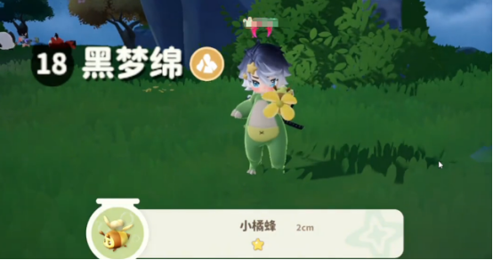 《米姆米姆哈》小橘蜂捕捉攻略(图4)