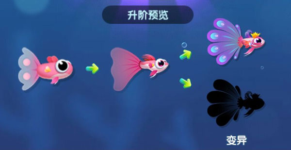 萌鱼泡泡 官网版(图2)