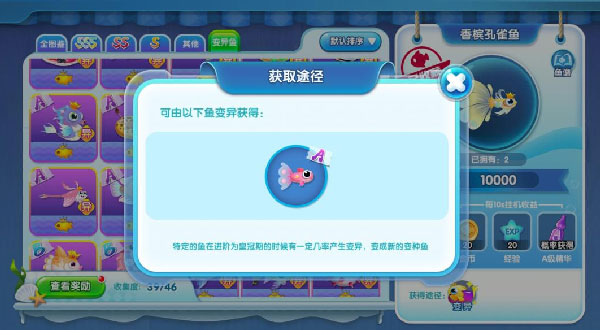 萌鱼泡泡 官网版(图3)