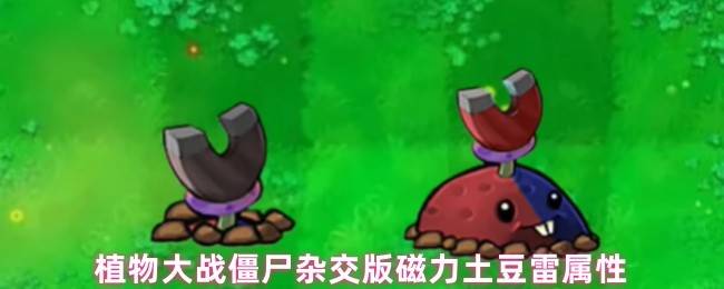 植物大战僵尸杂交版磁力土豆雷属性(图1)