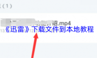 《迅雷》下载文件到本地教程