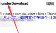 手机迅雷下载的文件在哪个目录