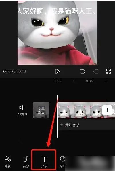剪映文字转人声配音(图3)