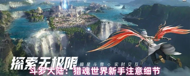 斗罗大陆：猎魂世界新手注意细节(图1)