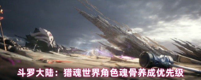 斗罗大陆:猎魂世界角色魂骨养成优先级(图1) 斗罗大陆:猎魂世界角色魂骨养成优先级