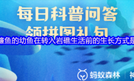 镰鱼的幼鱼在转入岩礁生活前的生长方式是