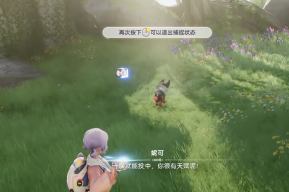 《伊莫》抓宠物方法(图4)