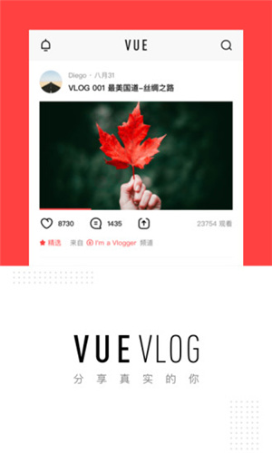 VUEVlog(图1)