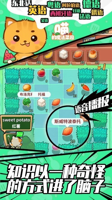 喵的魔法菜园(图1)