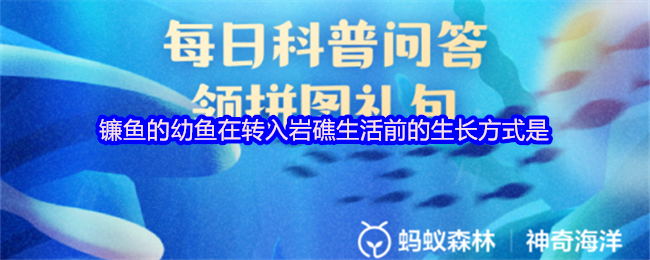 镰鱼的幼鱼在转入岩礁生活前的生长方式是(图1)
