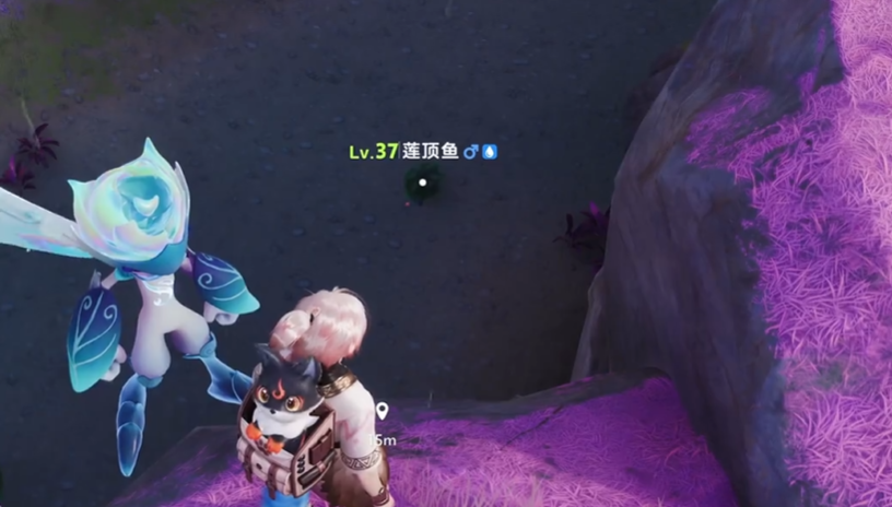 《伊莫》星落林介绍(图4)