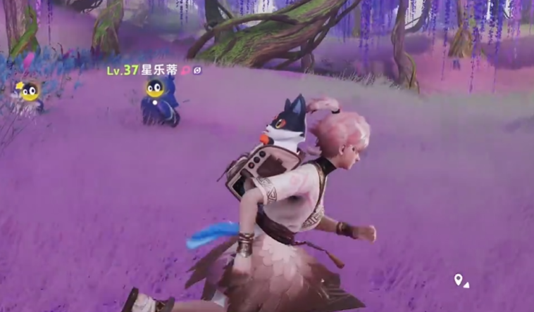 《伊莫》星落林介绍(图3)