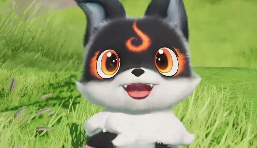 《伊莫》小炭犬介绍(图2)