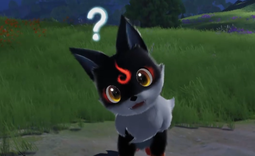 《伊莫》小炭犬介绍(图3)