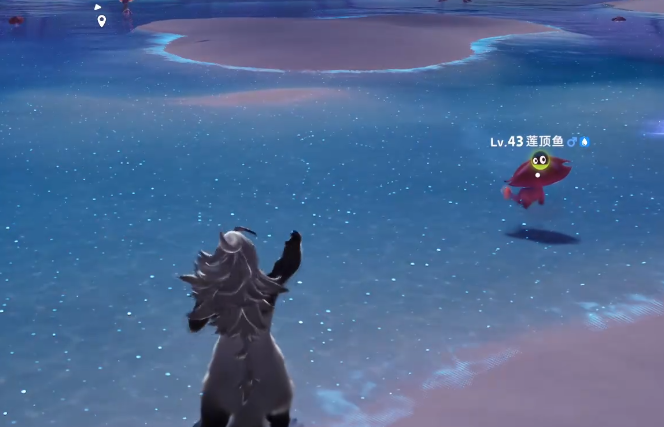 《伊莫》潮花岸宠物介绍(图4)