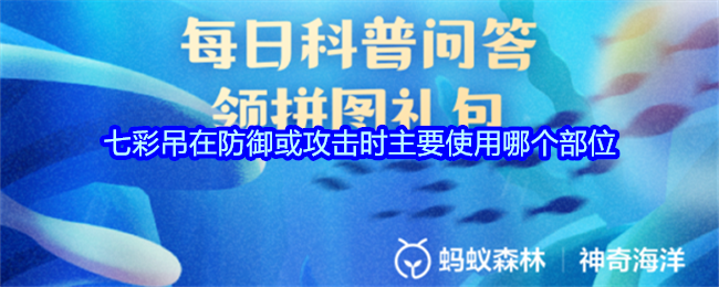 七彩吊在防御或攻击时主要使用哪个部位(图1)