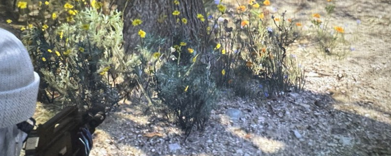 《GTAOL》黄金左轮手枪获得方法介绍(图1) 《GTAOL》黄金左轮手枪获得方法介绍