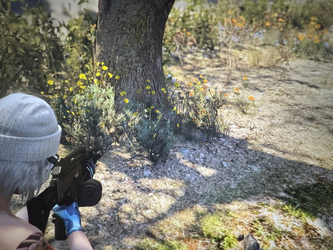 《GTAOL》黄金左轮手枪获得方法介绍(图11) 《GTAOL》黄金左轮手枪获得方法介绍