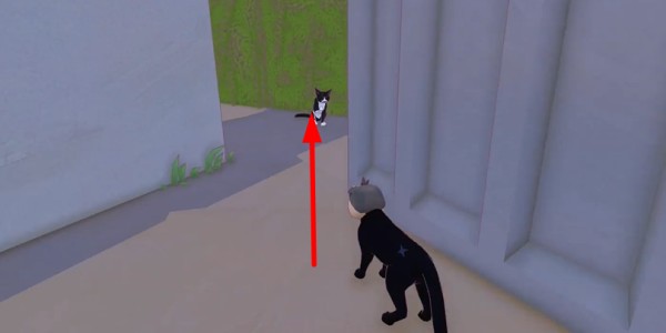 小猫咪大城市日常美容动作获取方式