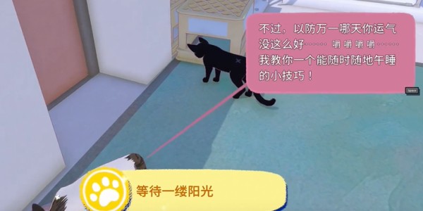 小猫咪大城市快速午睡获得方法