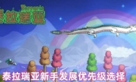 泰拉瑞亚新手发展优先级选择