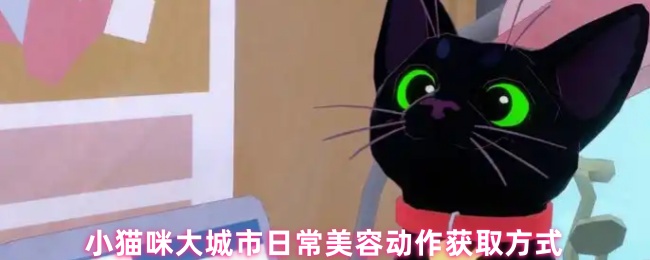小猫咪大城市日常美容动作获取方式