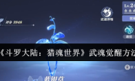 《斗罗大陆:猎魂世界》武魂觉醒方法