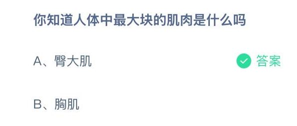 你知道人体中最大块的肌肉是什么吗(图2)