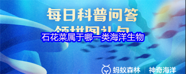 石花菜属于哪一类海洋生物(图1)