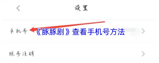 《豚豚剧》查看手机号方法