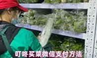 叮咚买菜微信支付方法