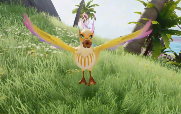 《伊莫》小号鸥介绍(图3)