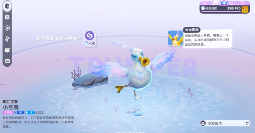 《伊莫》小号鸥介绍(图2)