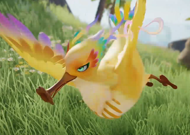 《伊莫》小号鸥介绍(图4)