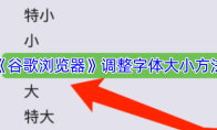 《谷歌浏览器》调整字体大小方法