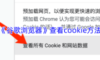 《谷歌浏览器》查看cookie方法