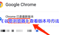 《谷歌浏览器》查看版本号方法