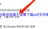《谷歌浏览器》设置下载pdf文件教程