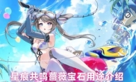 星痕共鸣蔷薇宝石用途介绍