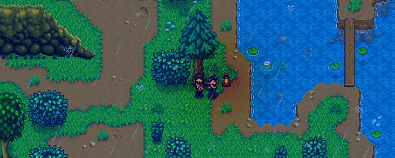 《星露谷物语》全可结婚对象喜欢物品介绍