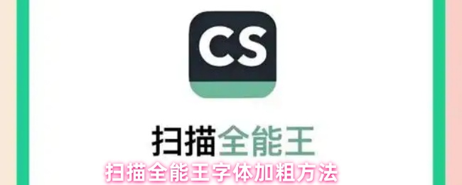 扫描全能王字体加粗方法