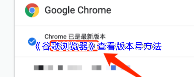《谷歌浏览器》查看版本号方法(图1) 《谷歌浏览器》查看版本号方法