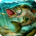 终极钓鱼模拟器 最新版