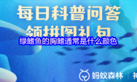 绿鳍鱼的胸鳍通常是什么颜色